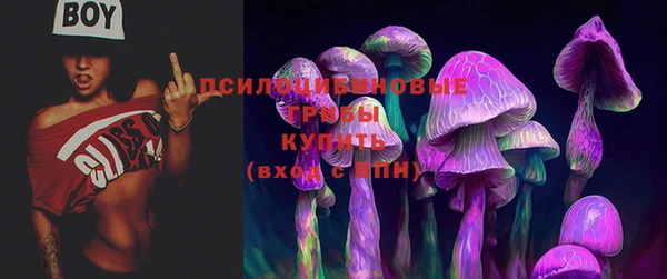 Альфа ПВП Бронницы