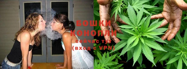 стаф Белокуриха