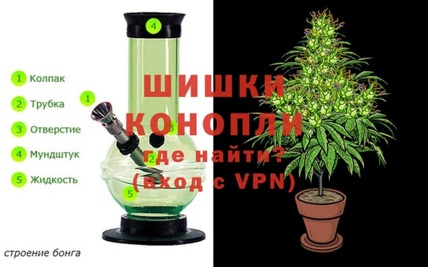 тгк Бородино