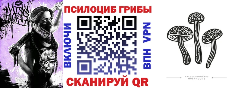 Псилоцибиновые грибы мицелий  продажа наркотиков  гидра маркетплейс  Гулькевичи 
