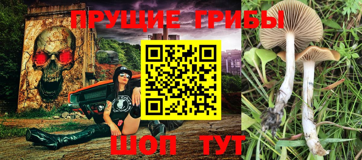 Гулькевичи  Псилоцибиновые грибы Magic Shrooms  Галлюциногенные грибы Magic Shrooms  Вход с VPN 